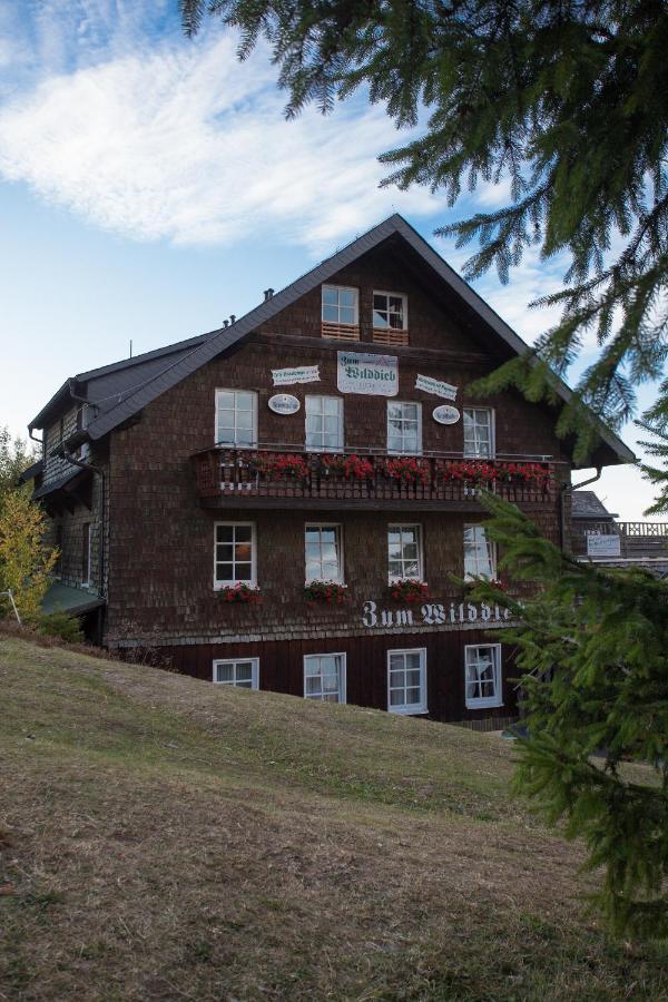 Berggasthof Zum Wilddieb Hotel Willingen (Upland)